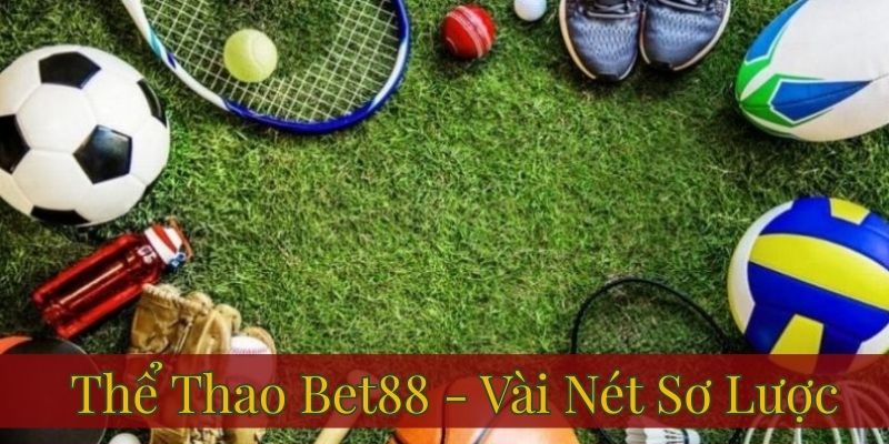 THỂ THAO 1 Một vài thông tin cơ bản về thể thao Bet88